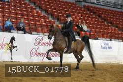 15BUCK_01778 proof