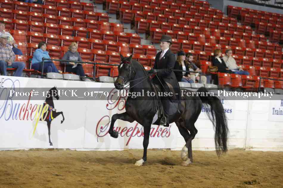 Proof 15BUCK_01779