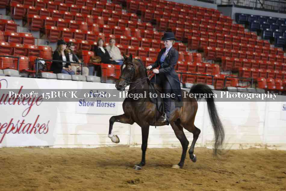 Proof 15BUCK_01780
