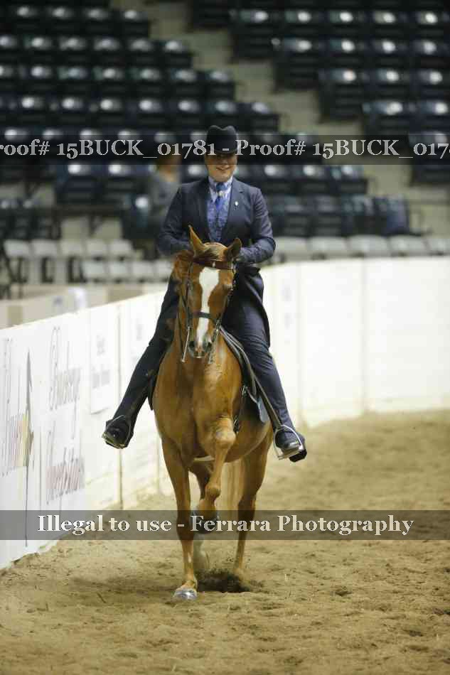 Proof 15BUCK_01781