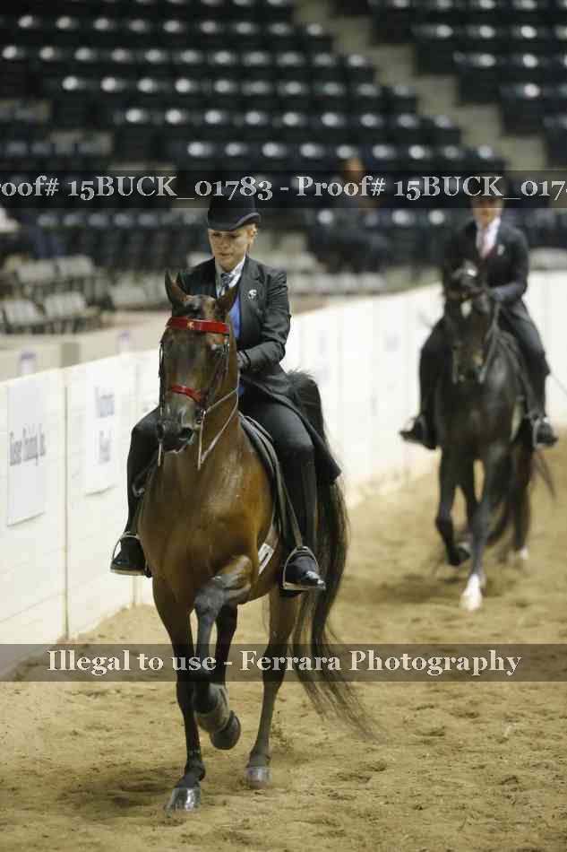 Proof 15BUCK_01783
