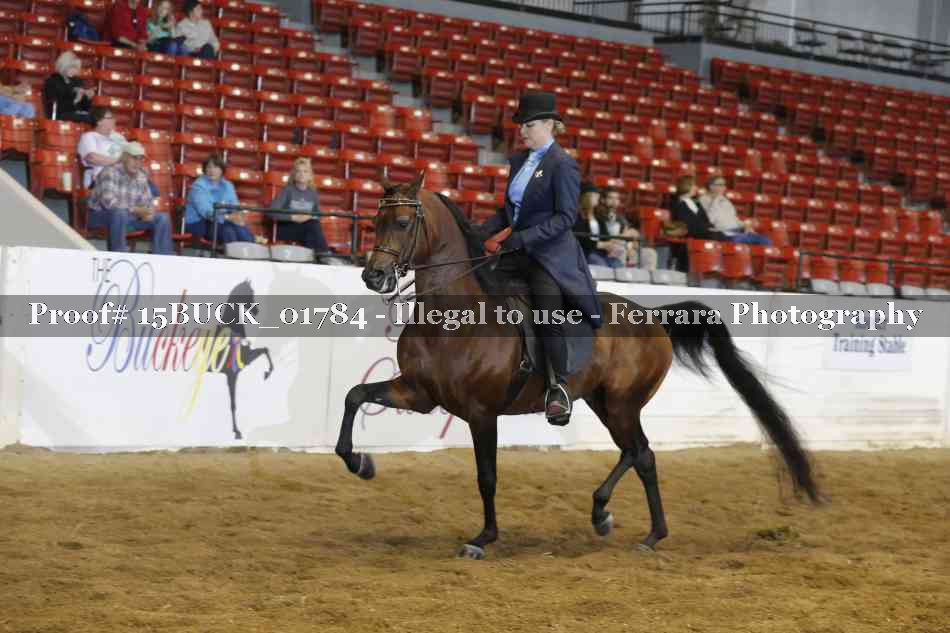 Proof 15BUCK_01784