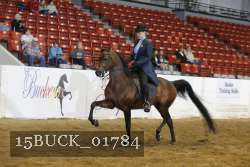 15BUCK_01784 proof
