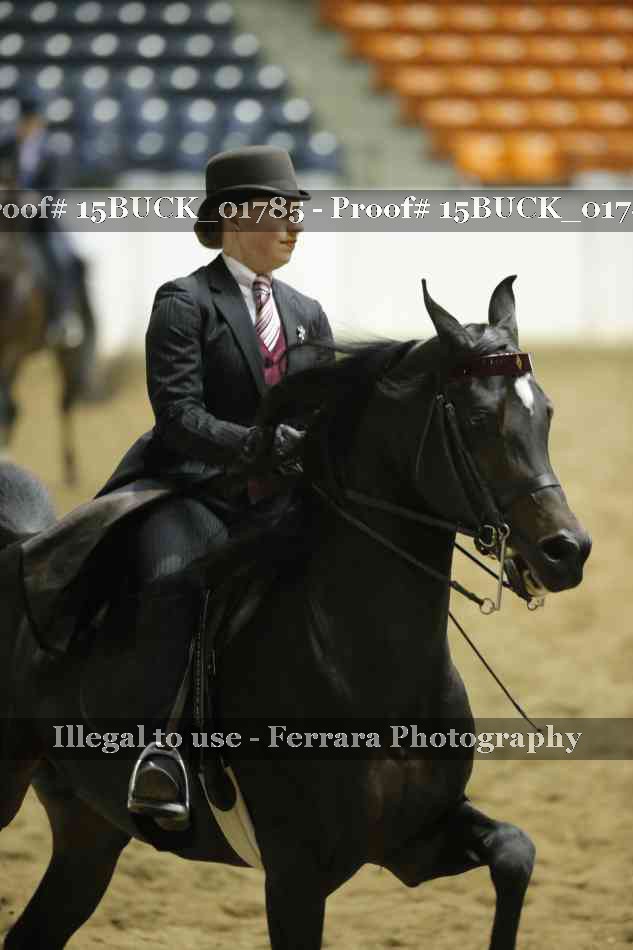Proof 15BUCK_01785