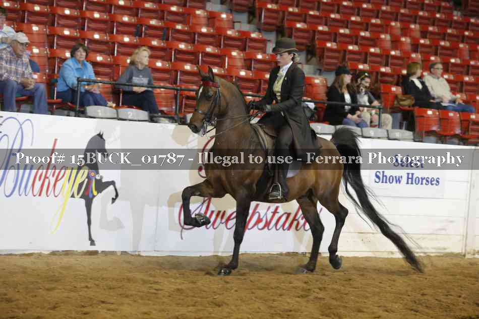Proof 15BUCK_01787