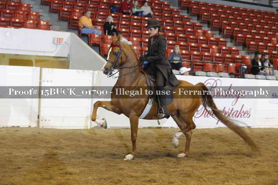 Proof 15BUCK_01790