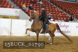 15BUCK_01790 proof