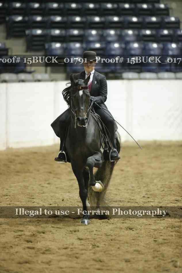 Proof 15BUCK_01791