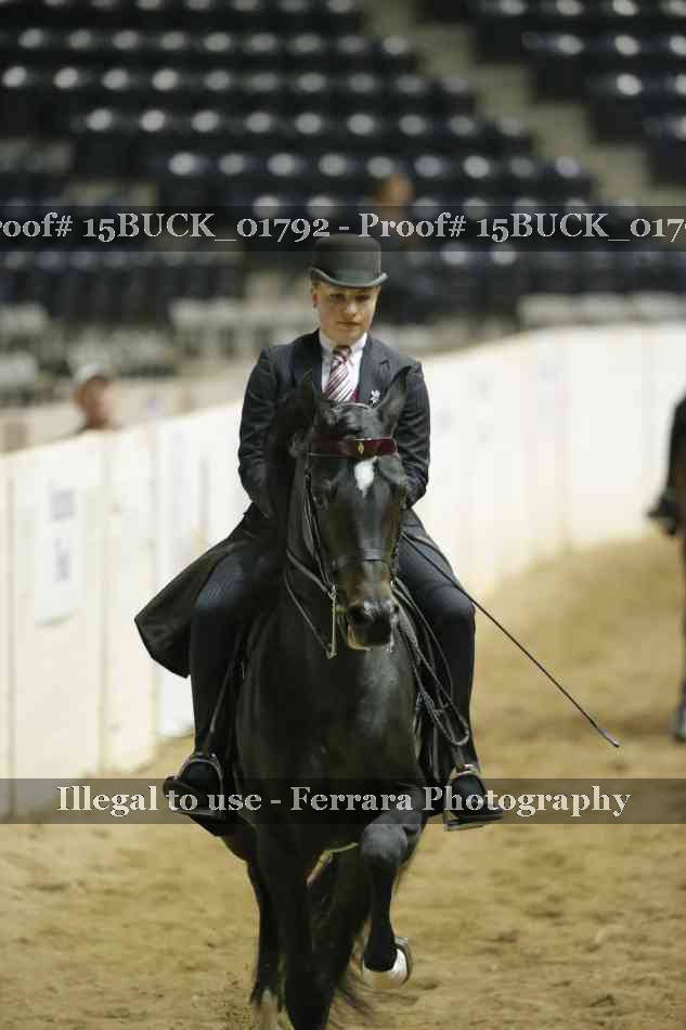 Proof 15BUCK_01792