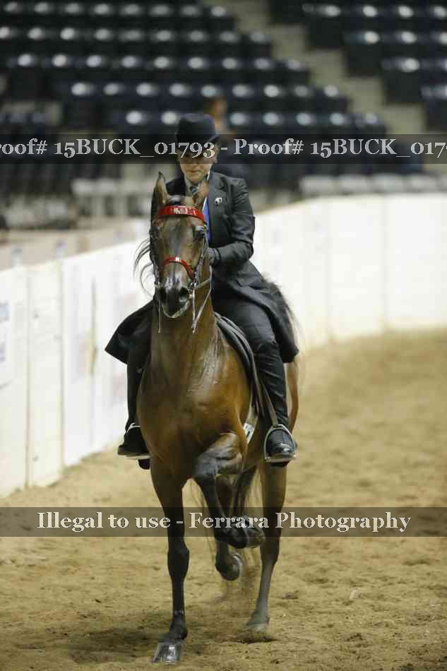 Proof 15BUCK_01793