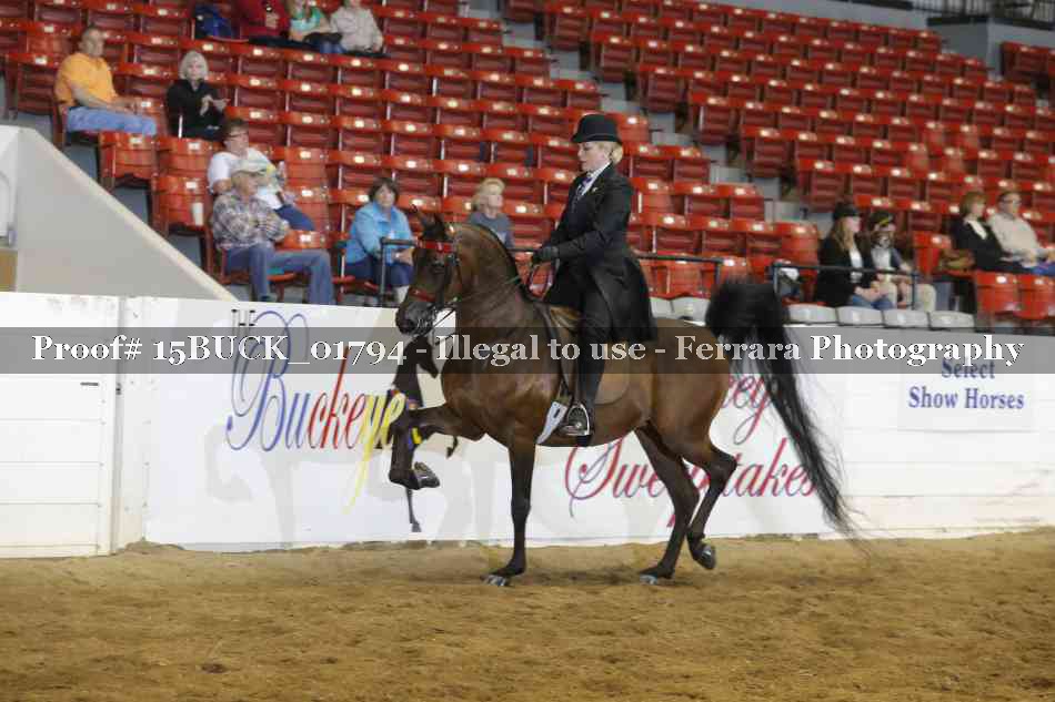Proof 15BUCK_01794