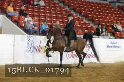 15BUCK_01794 proof