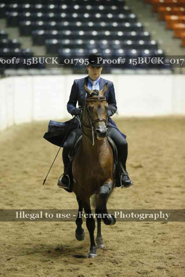 Proof 15BUCK_01795