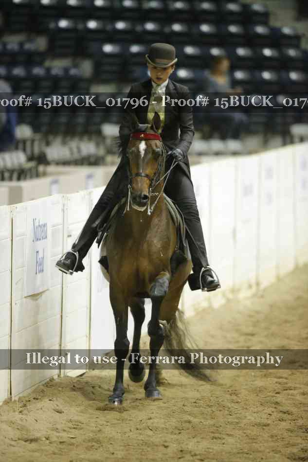 Proof 15BUCK_01796