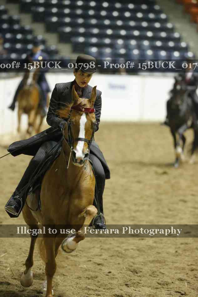 Proof 15BUCK_01798