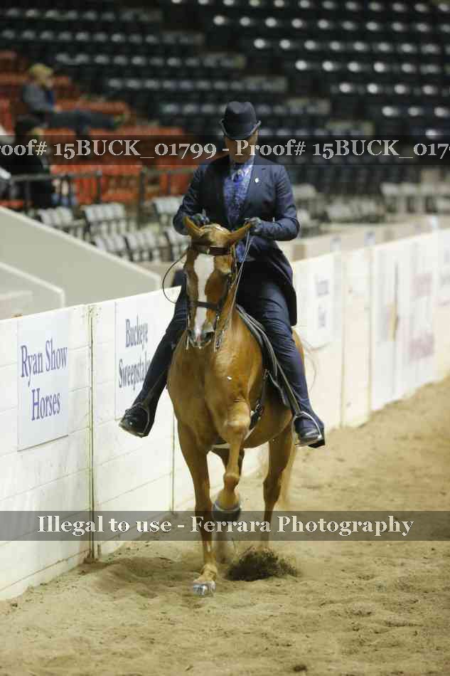 Proof 15BUCK_01799