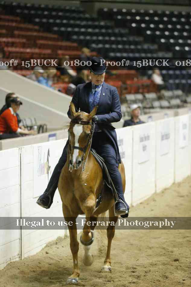 Proof 15BUCK_01800