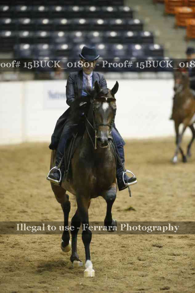 Proof 15BUCK_01801