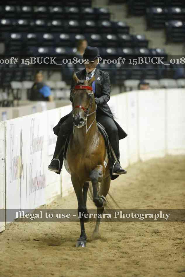 Proof 15BUCK_01802