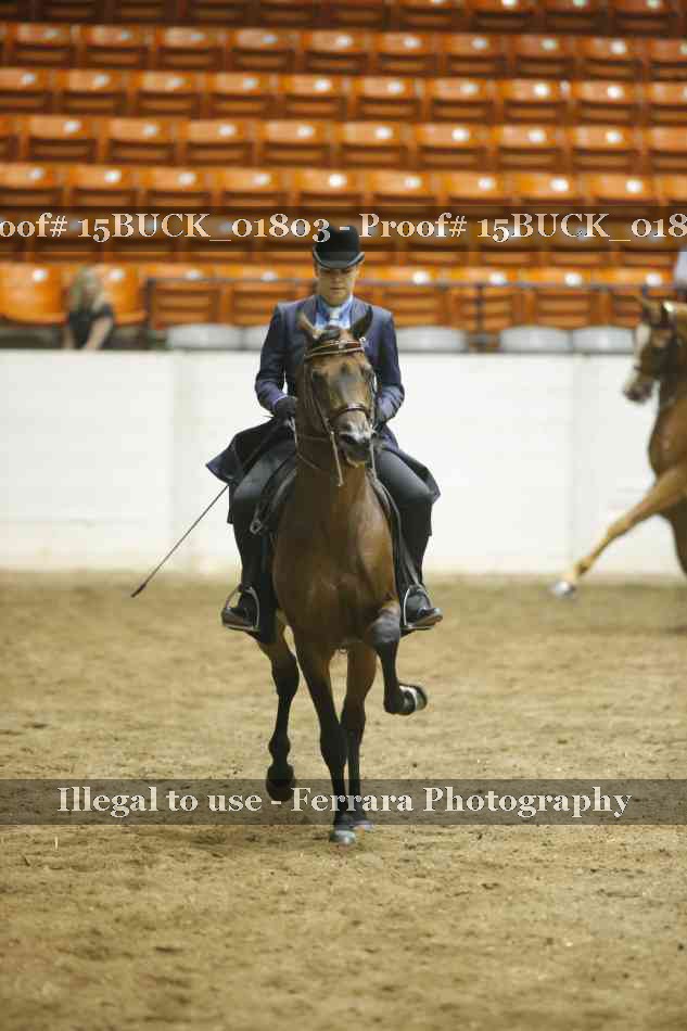 Proof 15BUCK_01803