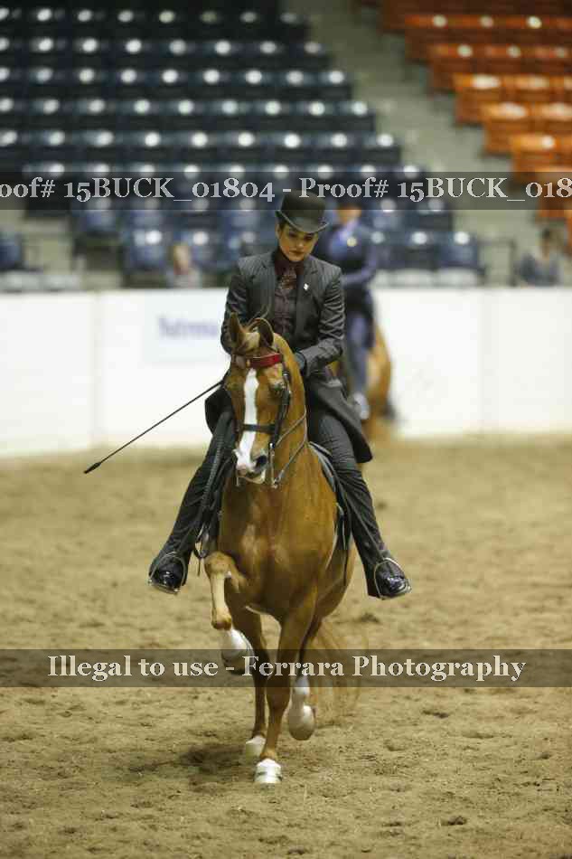 Proof 15BUCK_01804