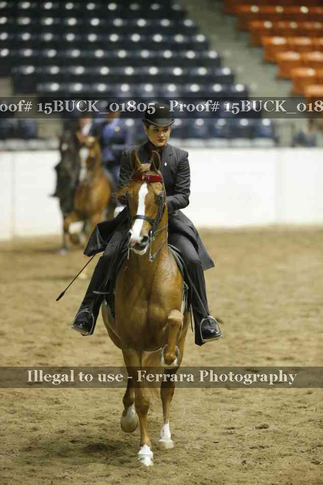 Proof 15BUCK_01805