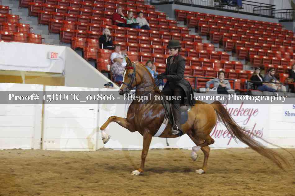 Proof 15BUCK_01806
