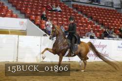 15BUCK_01806 proof