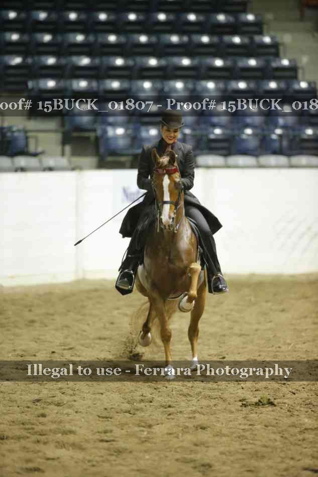Proof 15BUCK_01807