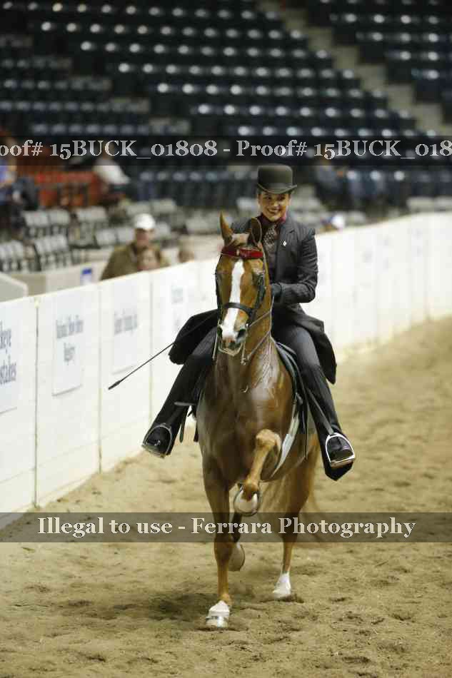 Proof 15BUCK_01808