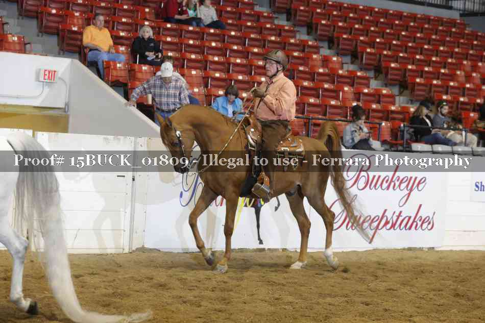 Proof 15BUCK_01809