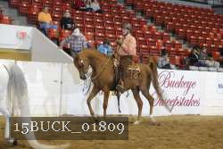 15BUCK_01809 proof