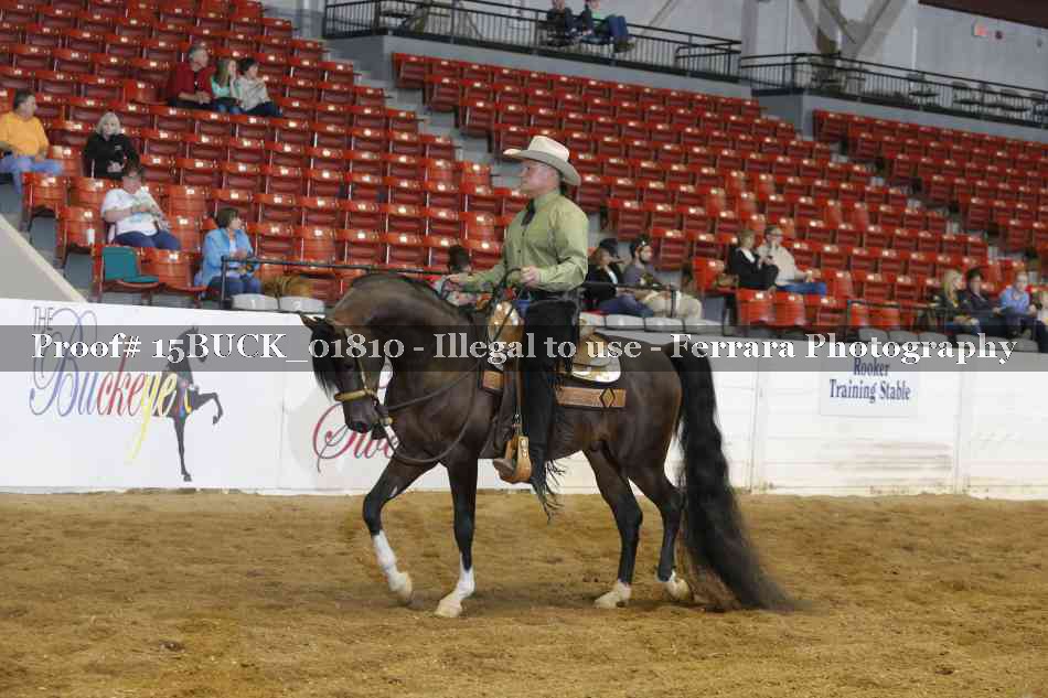 Proof 15BUCK_01810