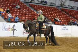 15BUCK_01810 proof
