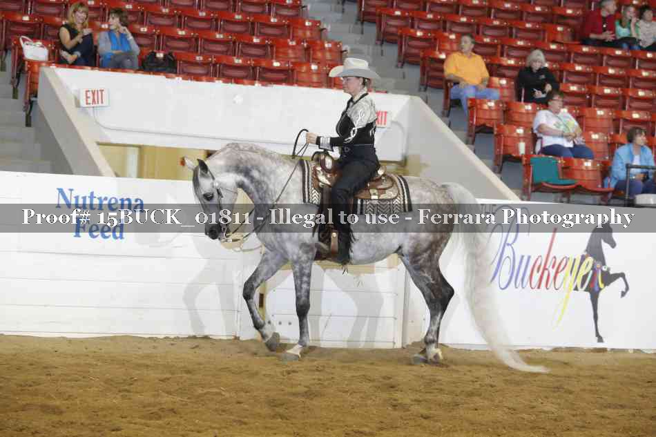 Proof 15BUCK_01811