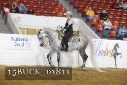 15BUCK_01811 proof