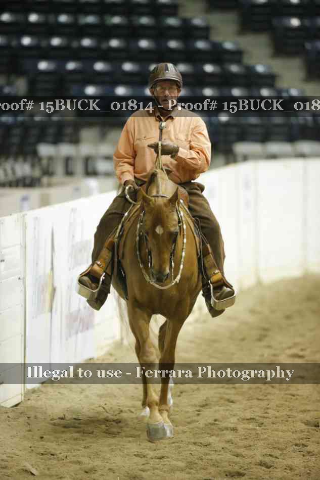 Proof 15BUCK_01814