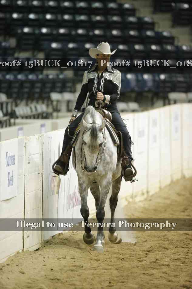 Proof 15BUCK_01817