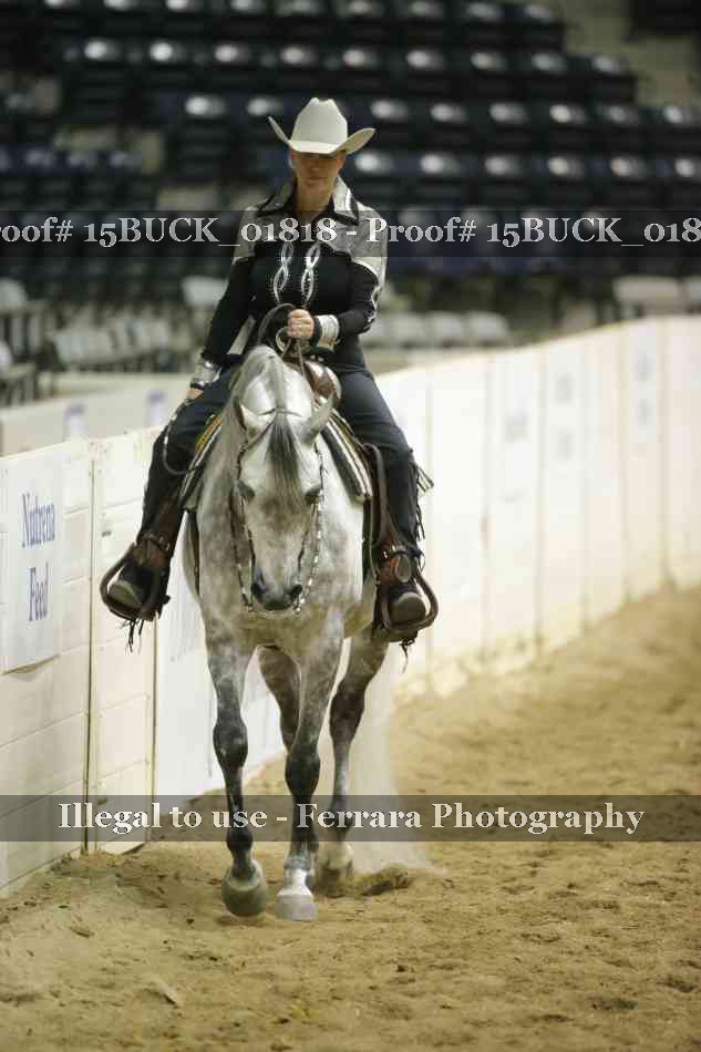 Proof 15BUCK_01818