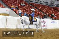 15BUCK_01823 proof