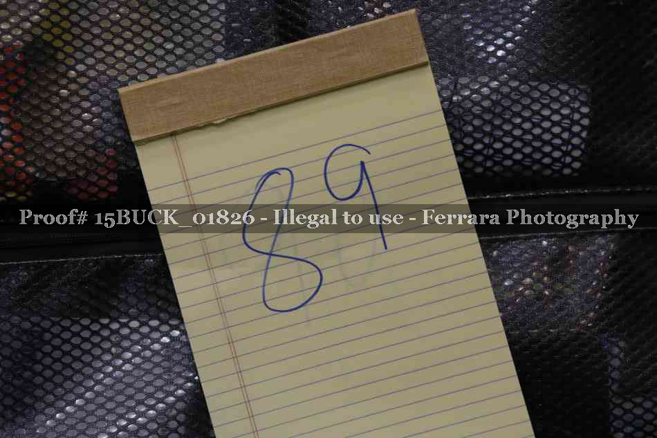 Proof 15BUCK_01826