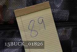 15BUCK_01826 proof