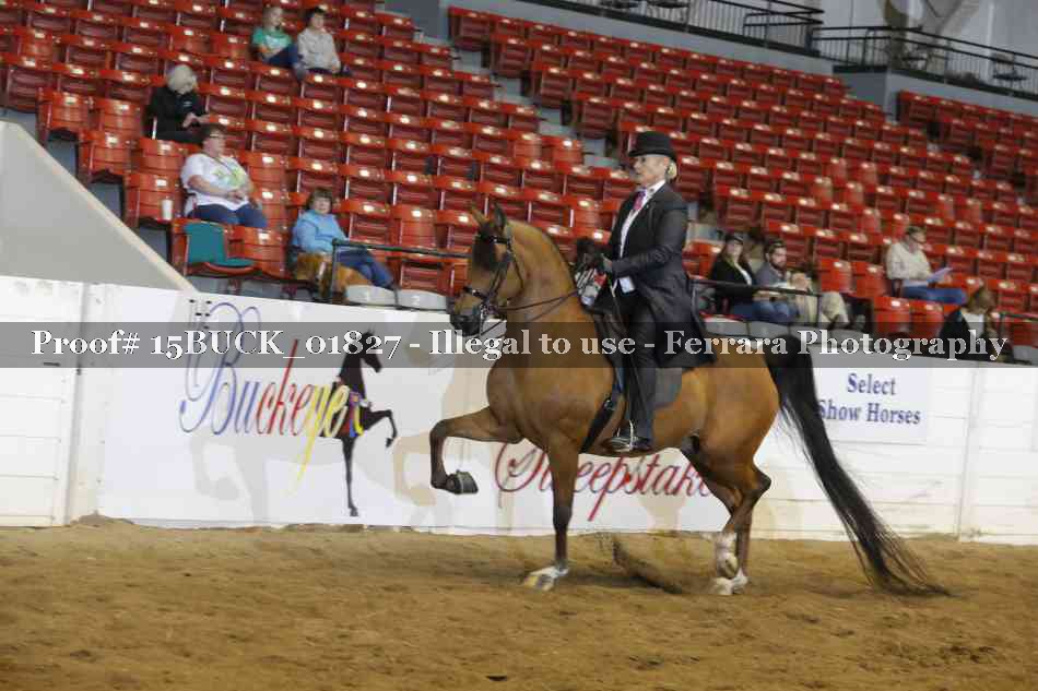 Proof 15BUCK_01827