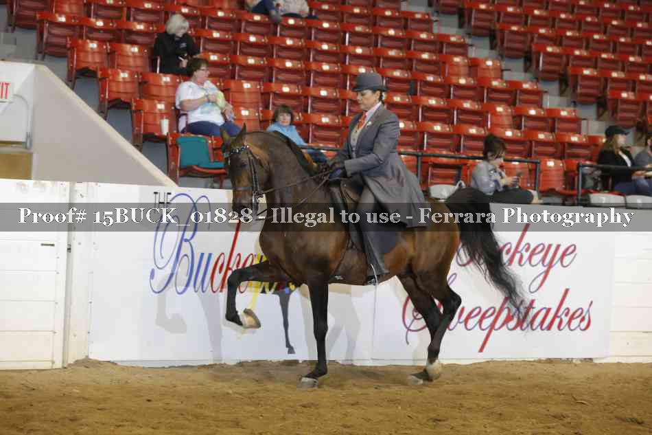 Proof 15BUCK_01828