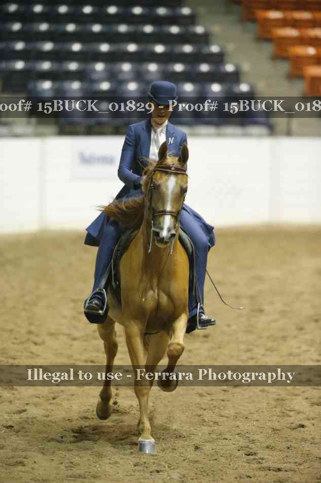 Proof 15BUCK_01829
