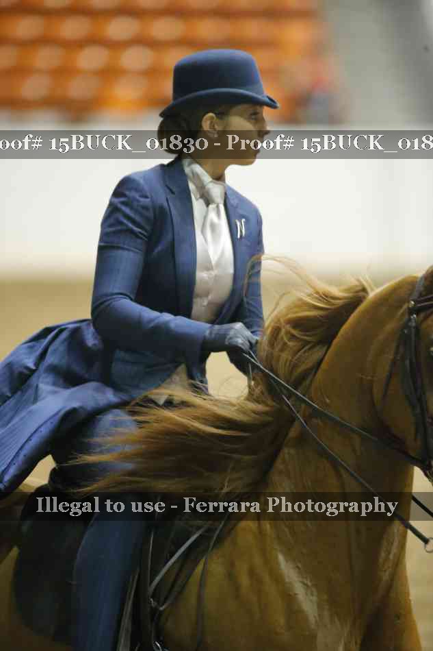 Proof 15BUCK_01830