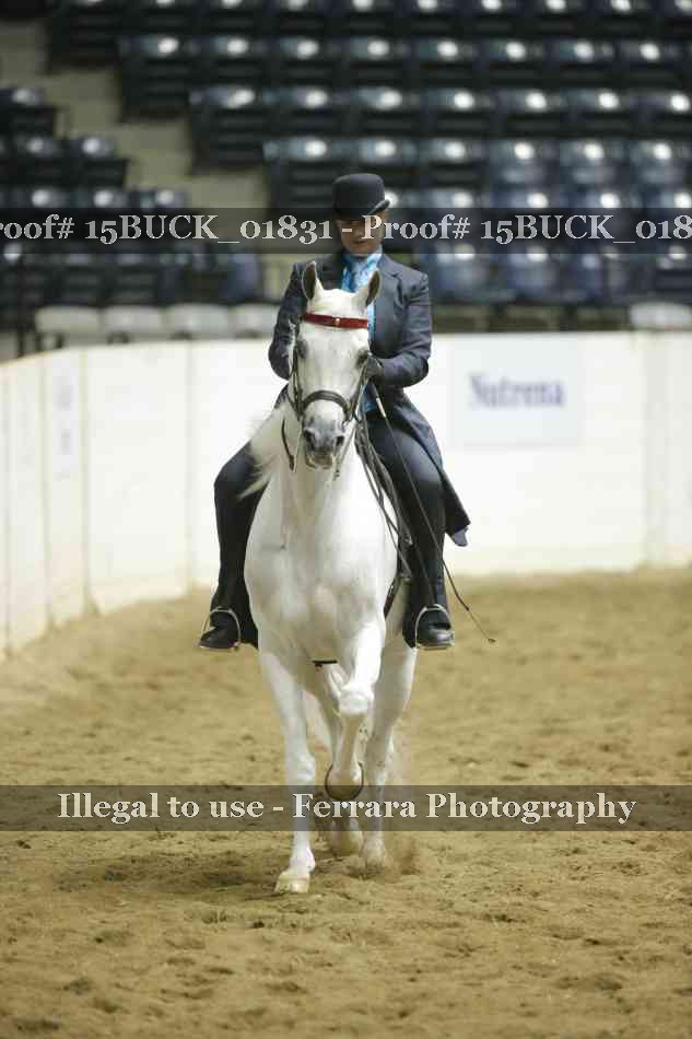 Proof 15BUCK_01831
