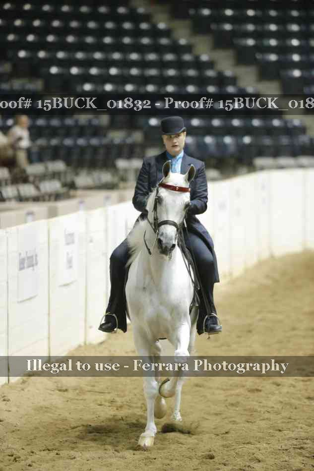 Proof 15BUCK_01832