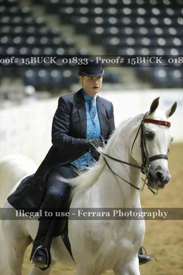 Proof 15BUCK_01833