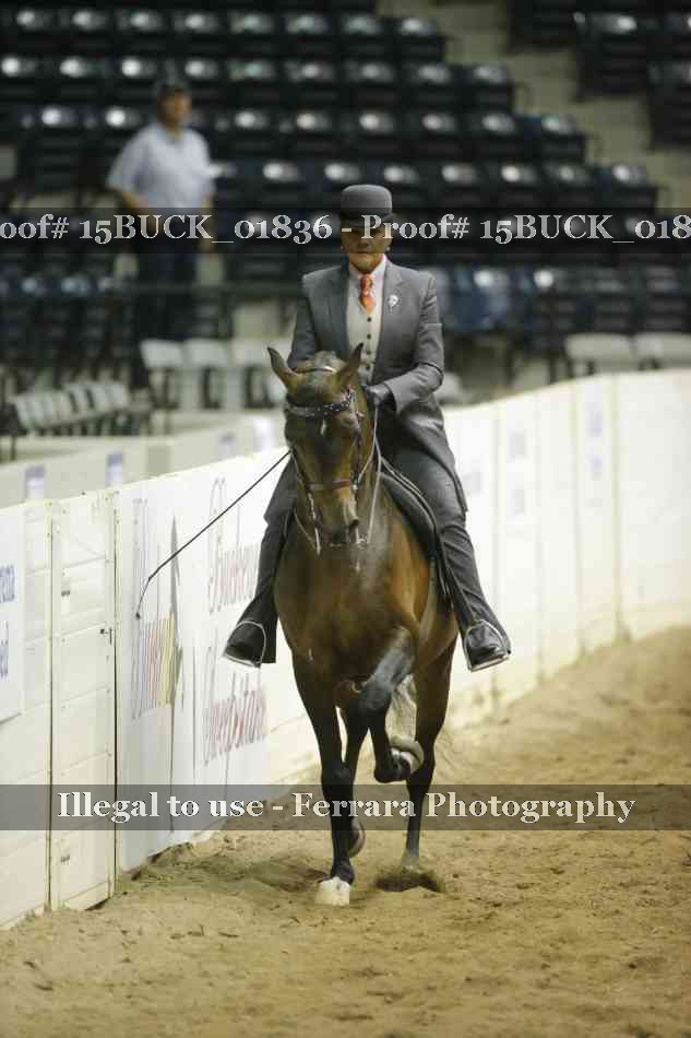 Proof 15BUCK_01836